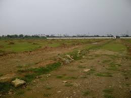 School Site  For Sale In DLF Phase 2 Gurgaon